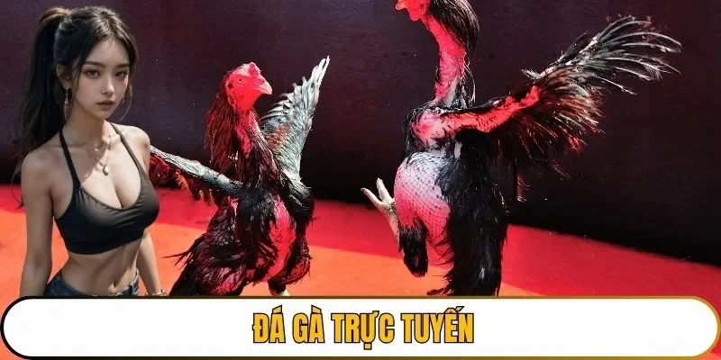 đá gà trực tuyến