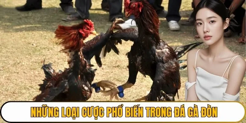 Những loại cược phổ biến trong đá gà đòn